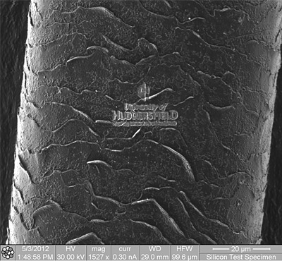 University Logo etched on a human hair