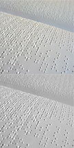 Electronic Braille Document Reader